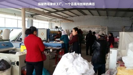 探秘胜哥家纺工厂,一个品质与创新的典范