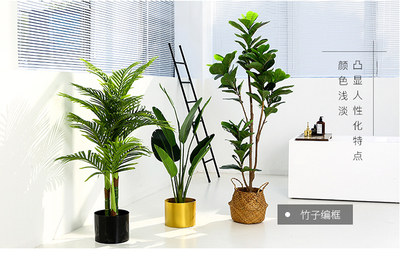 北欧仿真植物大型室内天堂鸟绿植盆栽客厅家居旅人蕉假树盆景装饰